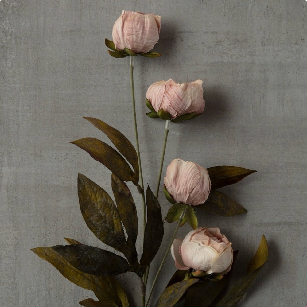 Tan Peony Stem By Ashland - 8 stems
